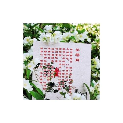 Большие слитные купальники BZNVN China At AliExpress