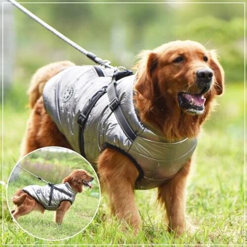 Puppystar Jackets For Dogs