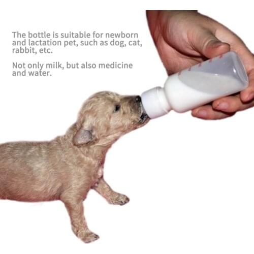 Puppy Kitten Feeding Bottle Medicine Feeder Milk Feeder With Cleaning Brush Dogs Cats Portable Outdoor Travel Water Drinking