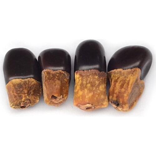 TSB0020 Natural Bodhi Myanmar Eggplant Bodhi Loose Beads 6 beads lot