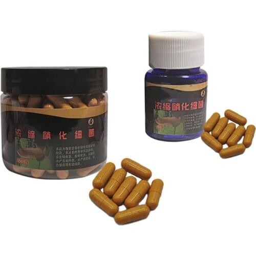 Aquarium Nitrifying Bacteria Super Concentrated Capsule Fish Tank Clean Purifier