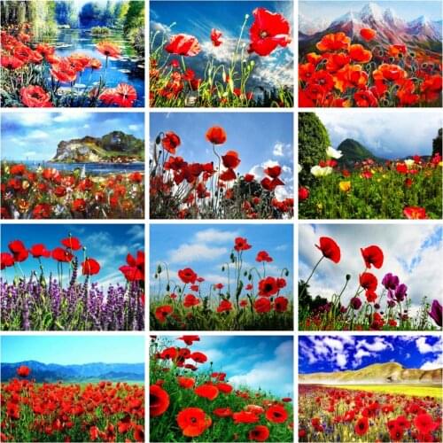 Huacan 5d Diamond Painting Poppy Flower Embroidery Sky Clouds Mosaic Cross Stitch Kit Floral Scenery Diamond Art