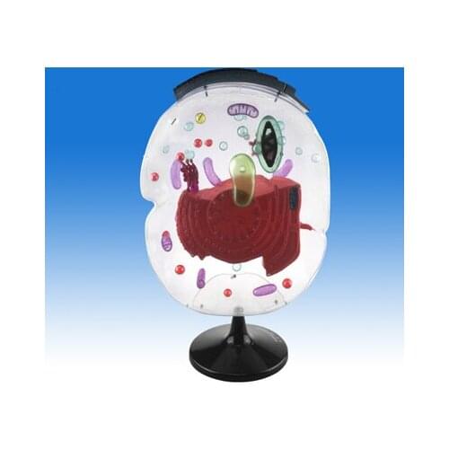 Biological experiment teaching of cell submicroscopic structure model