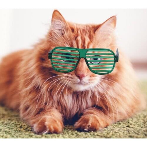 Pet Eyeglasses Shutters Design Decorative Stylish Sunglasses Photography Prop For Party Fashion Cool Style Outdoor Collocation