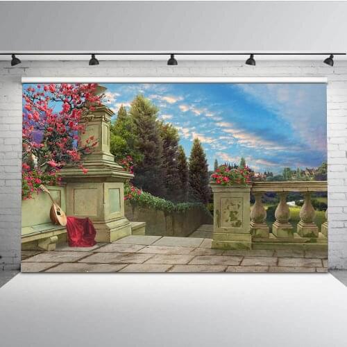 Mehofoto Forest Castle Photography Background Blue Sky and White Cloud Backdrops for Photo Studio Palace G-602