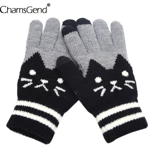 2022 Brand New Womens Men Winter Knitted Gloves Cartoon Warm Mittens Cute Cats Fingers Screen Warm Fleece Gloves Dropshipping