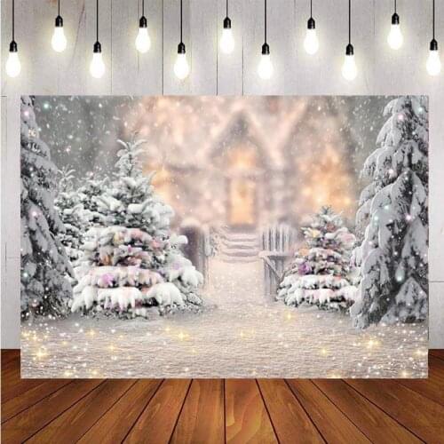 Photography Backdrops Christmas Holiday Celebration Photo Booth Background Children Family Party Studio Props Backdrop