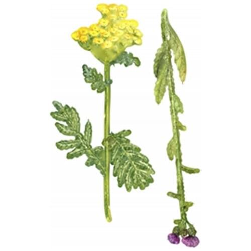 Flower Metal Cutting Die Scrapbook Embossed Make Paper Card Album Craft Template Cut Die Stencils New for 2021 Arrival Big Die