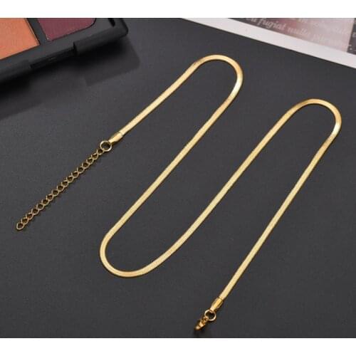 Hip Hop Stainless Steel Blade Chain Flat Snake Bone Necklace for Women Man Birthday Party Necklace Accessories Jewelry Gifts