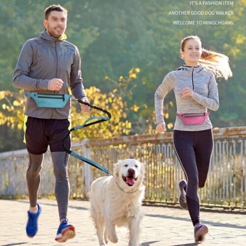 A Outdoor Portable Dog Treat Bag Pet Outdoor Training Aid Bag Poop Bag Food Holder With Adjustable Waist Belt