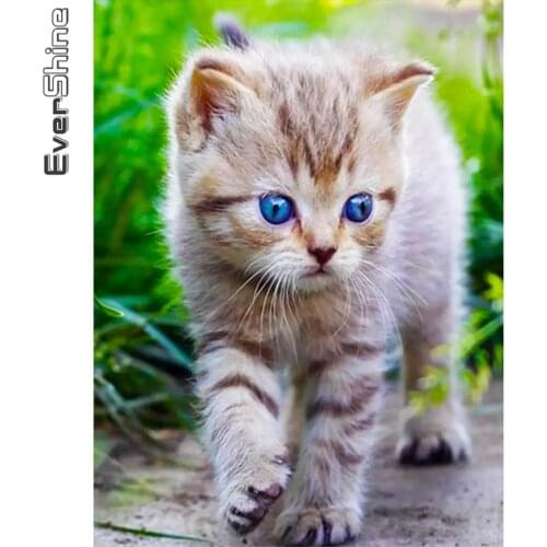 Evershine 5D DIY Diamond Mosaic Cat New Arrival Diamond Painting Animal Embroidery Cross Stitch Rhinestone Picture Handmade Gift