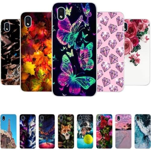 Case for Samsung galaxy A01 Core cover A 01 core case TPU Painted Soft silicone Phone cases for samsung galaxy A01 Core A01 case