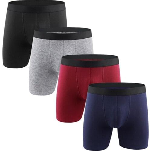 D Handsome Men's Sports Briefs