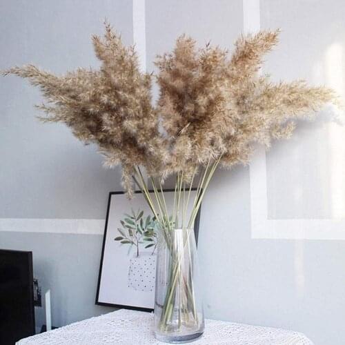 1PCS Natural Pampas Grass Dried Flowers Bunch Brown Bouquet Fluffy Decoration For Home Bedroom Living Room Christmas Decoration