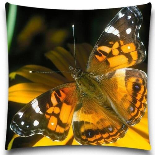 Good Quality Butterfly Snail Pillow case 2d Printed cotton polyester For Soft Throw Chair Seat Cushion cover