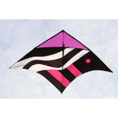Kite