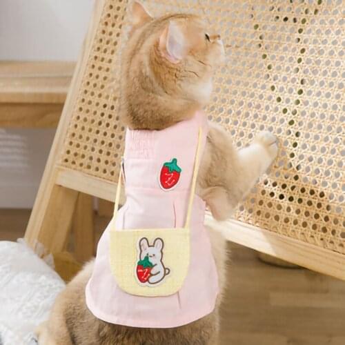 Summer New Style Strawberry Cat Skirt Thin Section Breathable Vest Two-legged Skirt Small Dog Dog Teddy Pet Clothes
