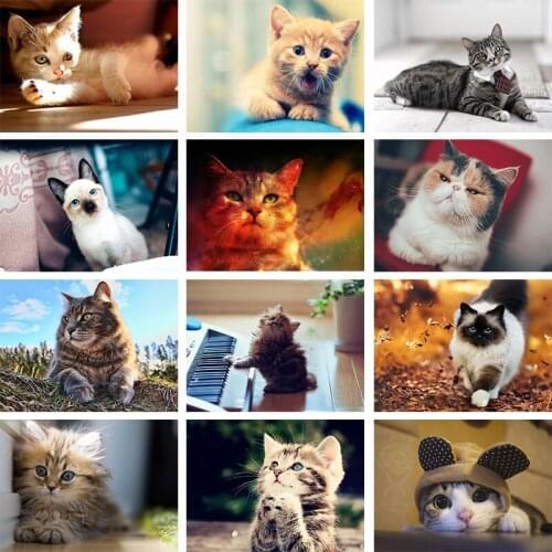 Pet Cat DIY Diamond Painting Cross Stitch 5D Full Square Drill Animal Diamond Mosaic Embroidery Home Room Decor Art