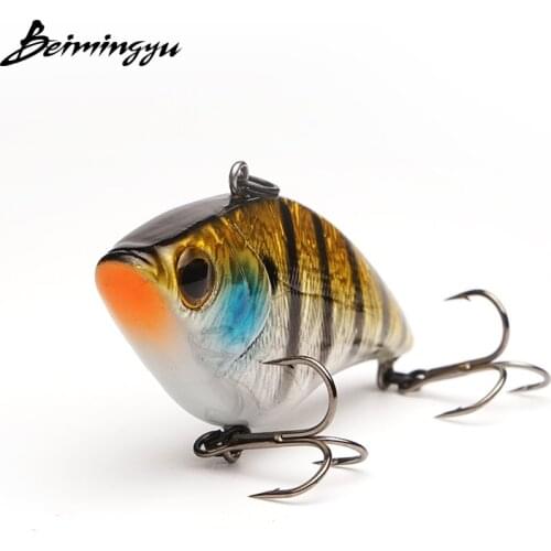 BEIMINGYU Fishing Bait