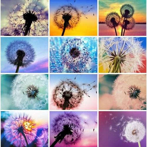 EverShine Oil Paint By Numbers Dandelion DIY Coloring By Numbers Flowers Drawing Canvas Wall Set Handmade Hobby Art Home Decor