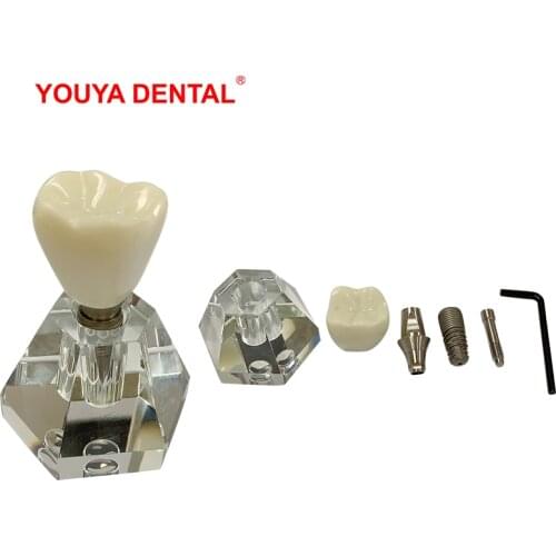 Dentist Crystal Tooth Implant Model Transparent Dental Implant Practice Model Dentistry Detachable Teeth Models Dental Supplies