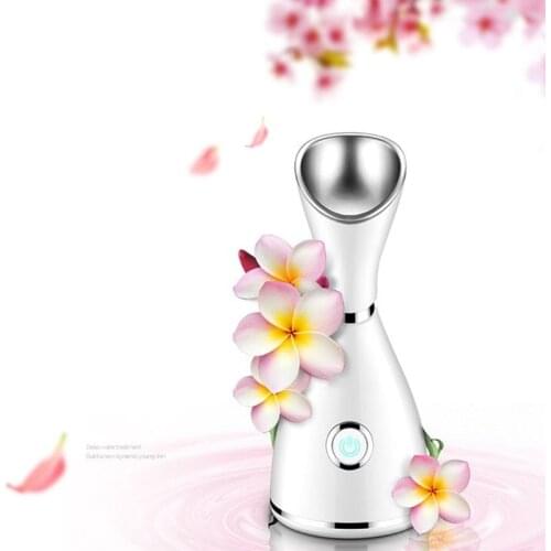 Spa Pores Steam Sprayer Facial Face Mist Thermal Steamer Skin Deep Cleanser