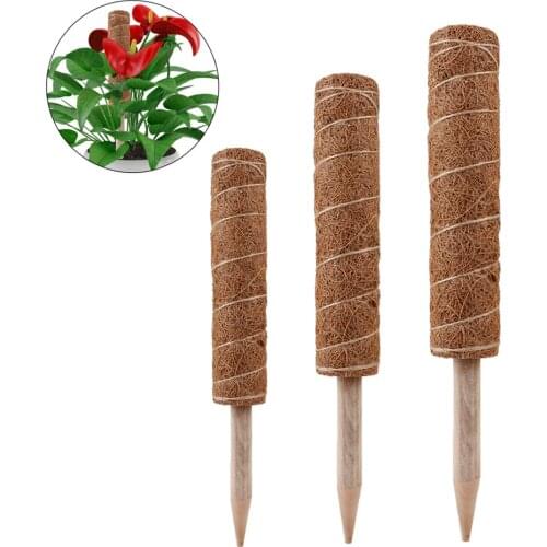 Vines Pole 3pcs Plant Climbing Coconut Palm Sticks Indoor Plants Moss Fiber Support Extension 30cm/ 40cm/ 50cm