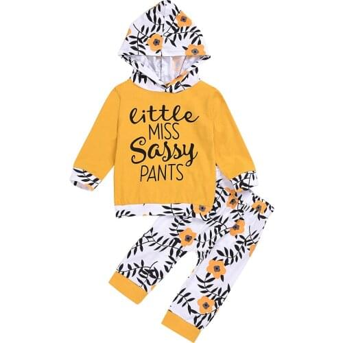 0-2Yrs Baby Hooded Clothes Set Kids Girls Long Sleeve T-Shirts Pants 2Pcs Spring Autumn Clothing Suits