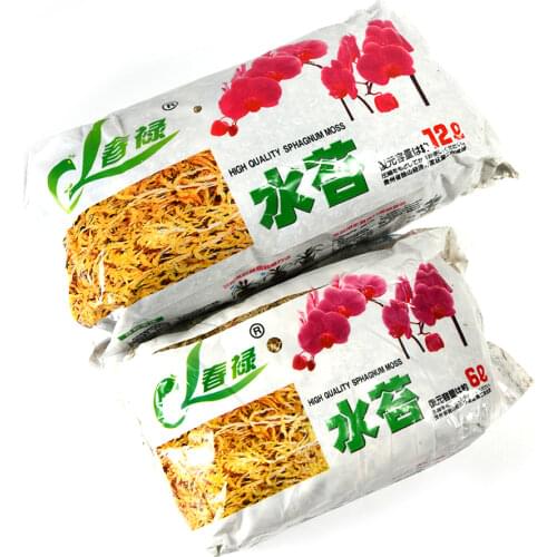 Natural Moss Garden Supplies Moisturizing Nutrition Organic for Phalaenopsis Orchid Musgo Sphagnum Flowerpot Deco Fake Plants