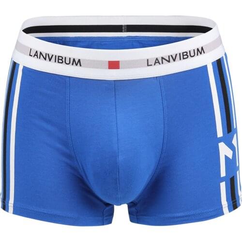LANVIBUM Mens Bamboo Briefs