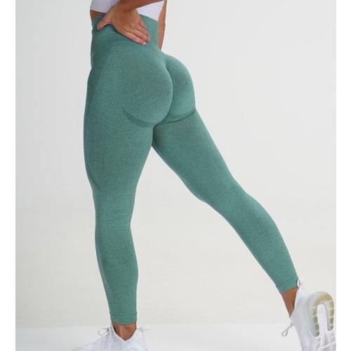 Seamless Yoga Leggings Sport Women Fitness Yoga Pants Solid High Waist Elastic Gym Leggings Women Workout Tight Sports Pant
