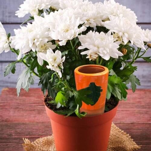 Plant Self Watering Device Carrot Waterer Slow Release Spikes Stakes for Indoor Outdoor Plants N58C