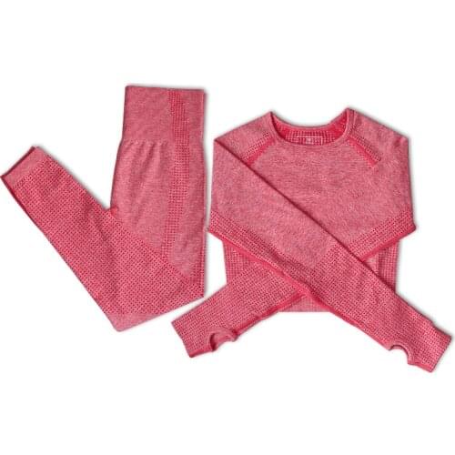 Women Seamless Yoga Set Gym Clothing Fitness Leggings+ Sport Suit Long Sleeve Tracksuit Active Wear