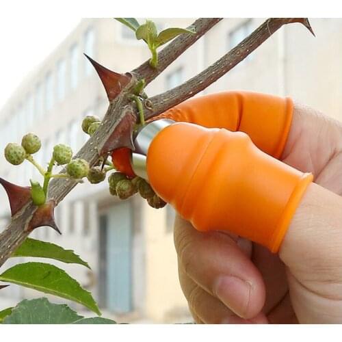 Farm Vegetable Fruit Picker Pickle Pepper Pickle Tip Picker Iron Nail Pick Grape Picker For Garden Orchard And Vegetable Patch