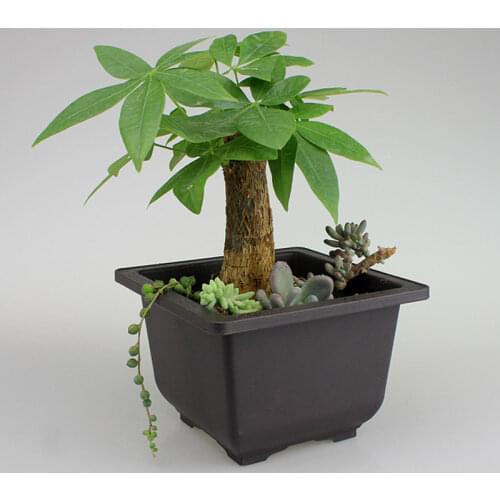 1PCS Garden Supplies Retro Plant Pot Plastic Succulents Flower Pot Balcony Decorations Bonsai Nursery Pots Maceteros Decorativos