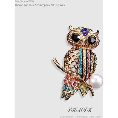 Fashion Delicate Owl Brooches Korean Trendy Zinc Alloy Imitation Badge Pin Women Man Gifts Accessories