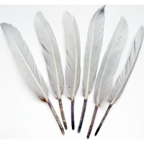 Wholesale 1000Pcs Gray Goose Feathers 10-15cm plumes for DIY Crafts Wedding dreamcather Decoration Plumas Earring Accessories