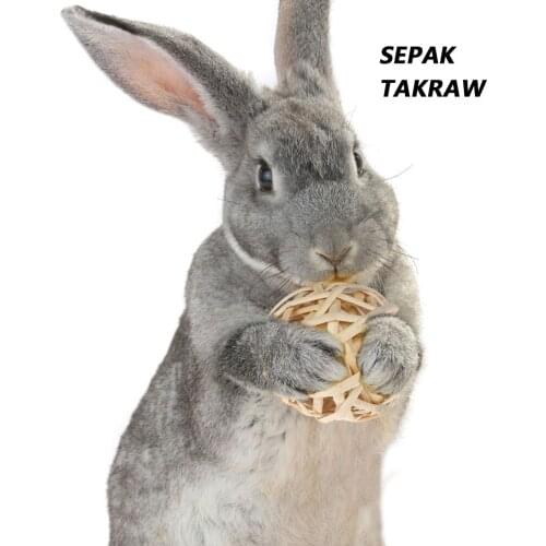 Parrot Bird Natural Chew Molar Grass Ball Small Hamster Pet Tooth Cleaning Ball Interative Playing Toy Pet Products