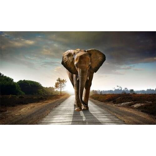 Africa Elephant Animal Landscape Oil Painting on Canvas Pop Art Poster and Print Abstract Art Wall Picture for Living Room Decor