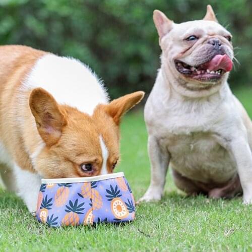 Portable Dog Pet Folding Bowl Outdoor Travel Food Bag Puppy Food Container Dish Waterproof Cloth Folding Feeder