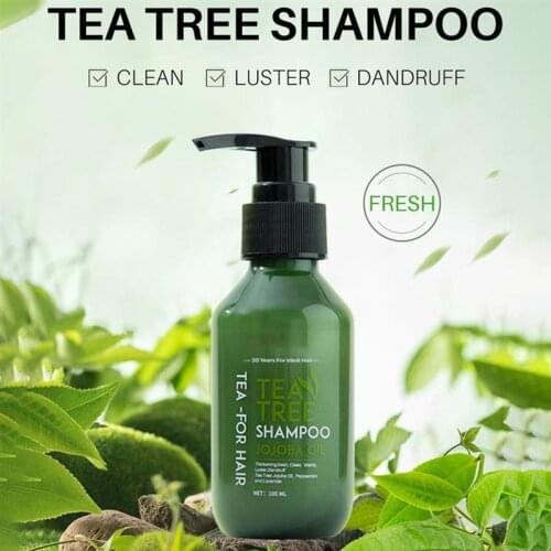 Tea Tree Shampoo Anti Dandruff Shampoo Anti-Itchy Hair Shampoo Oil Control Refreshing Shampoo Shampoo Bar Olaplex Conditioner