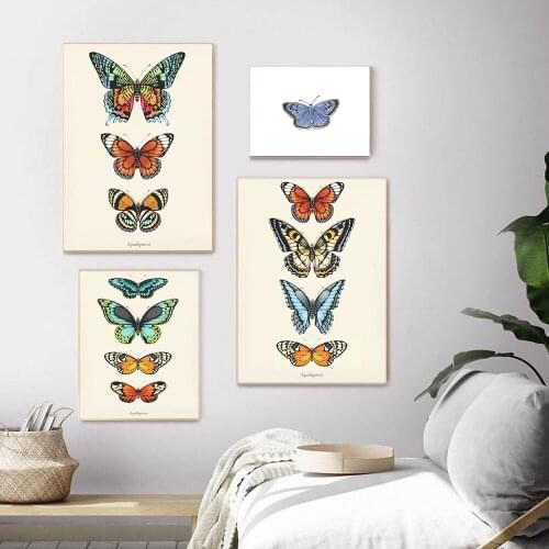 Butterfly Insect Vintage Poster Print Canvas Painting Biology Education Wall Art Picture Modern Study Room Home Decoration Decor