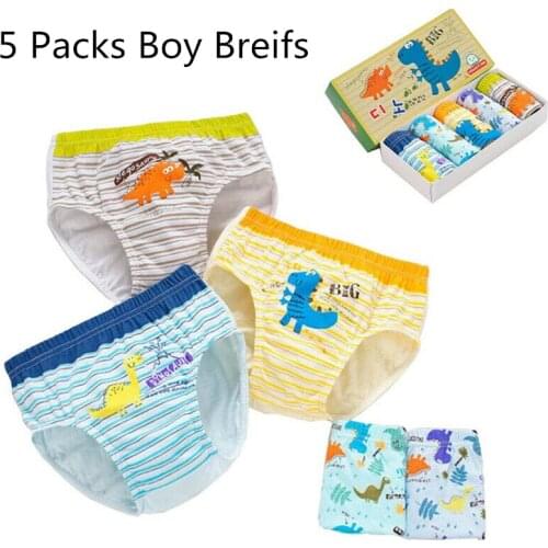 5Packs Kids Boys Cotton Soft Cartoon Dinosaur Panties Boxer Briefs Washable Underwear Briefs Panties Toddler Boys Underwear