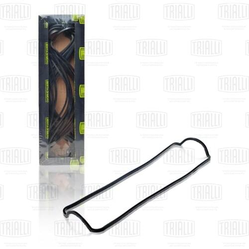 Trialli Cylinder Head Gaskets