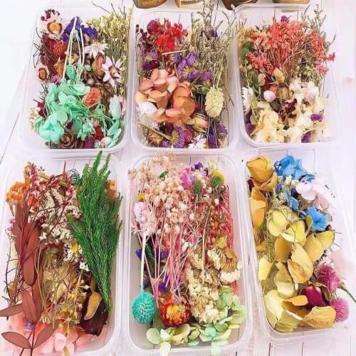 1Box Dried Flowers DIY Filling Natural Pressed Flower Art Aromatherapy Candle Floral Decors Epoxy Resin Mold Jewelry Decorative
