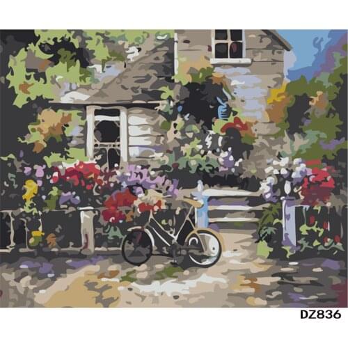Paint by Numbers Kits for Adults DIY 40CM*50CM ALI_V1_836