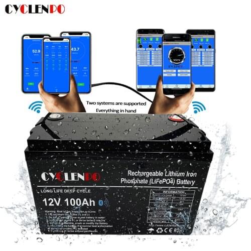 With bt and heated function 12v lithium ion lifepo4 battery 12v 100ah lithium batteries for solar energy system