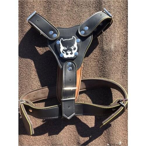 FR Pet Collars, Harnesses And Leashes