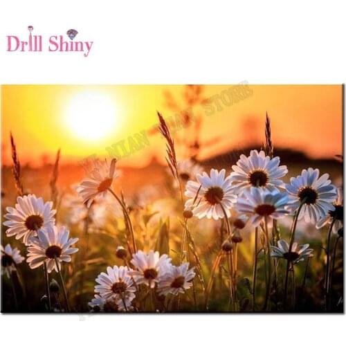 New 5D Diy Diamond Painting Diamond Mosaic Sunset flowers square full Diamond Embroidery Cross Stitch Needlework Home Decoration