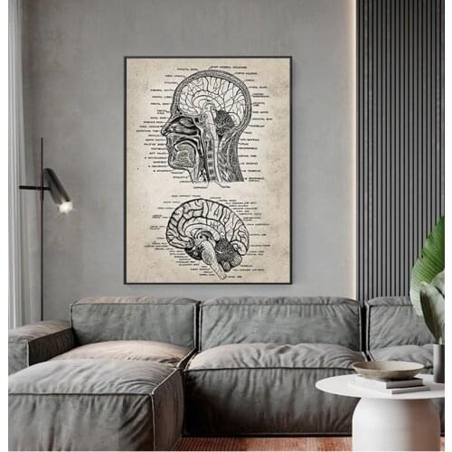 Anatomy Painting Doctors Office Wall Art Decor Vintage Human Head And Brain Anatomy Canvas Art Prints Neuroscience Human